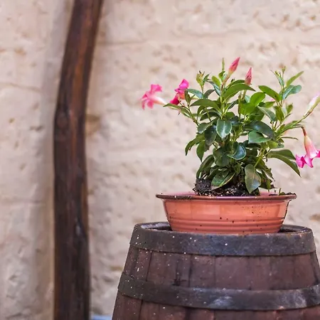 La Luna In Cortile 4* 레체